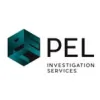 P E L Consultancy Services